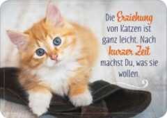 Postkarte - Die Erziehung von Katzen