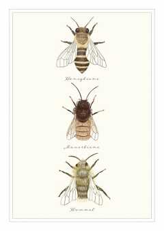 Postkarte - natur-verliebt "Bienen"