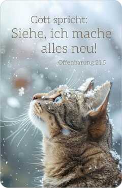 Jahreslosung 2026 - Kalenderkärtchen Katze Jahreslosung 2026 - Kalenderkärtchen Katze