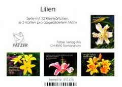 Kleinkärtchenserie Lilien, 12 Stück