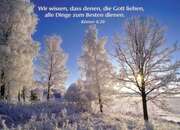 Postkarten Winterbäume, 6 Stück Postkarten Winterbäume, 6 Stück