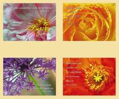 Postkartenserie Blumendetails, 12 Stück
