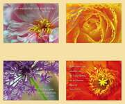 Postkartenserie Blumendetails, 12 Stück Postkartenserie Blumendetails, 12 Stück