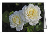 Faltkarten Rosen, 5 Stück Faltkarten Rosen, 5 Stück