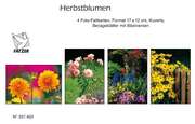 Faltkartenbox Blumenwiese, 4 Stück Faltkartenbox Blumenwiese, 4 Stück