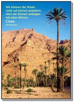 Postkarten: Wir können die Wüste, 12 Stück