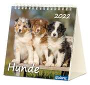 Hunde 2021 Hunde 2021