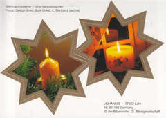 Weihnachtssterne - 24 Stück Weihnachtssterne - 24 Stück