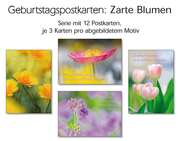 Postkartenserie Geburtstag, 12 Stück Postkartenserie Geburtstag, 12 Stück