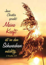 Postkarten: Jahreslosung 2012, 4 Stück Postkarten: Jahreslosung 2012, 4 Stück