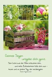 Postkarten: Gottes Segen umgebe dich, 12 Stück Postkarten: Gottes Segen umgebe dich, 12 Stück