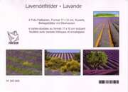Faltkartenbox Lavendel, 4 Stück Faltkartenbox Lavendel, 4 Stück