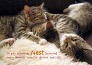 In ein warmes Nest - Faltkarte In ein warmes Nest - Faltkarte